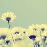 hold